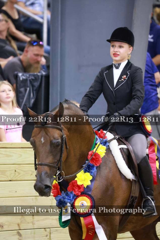 Proof 22R13_12811