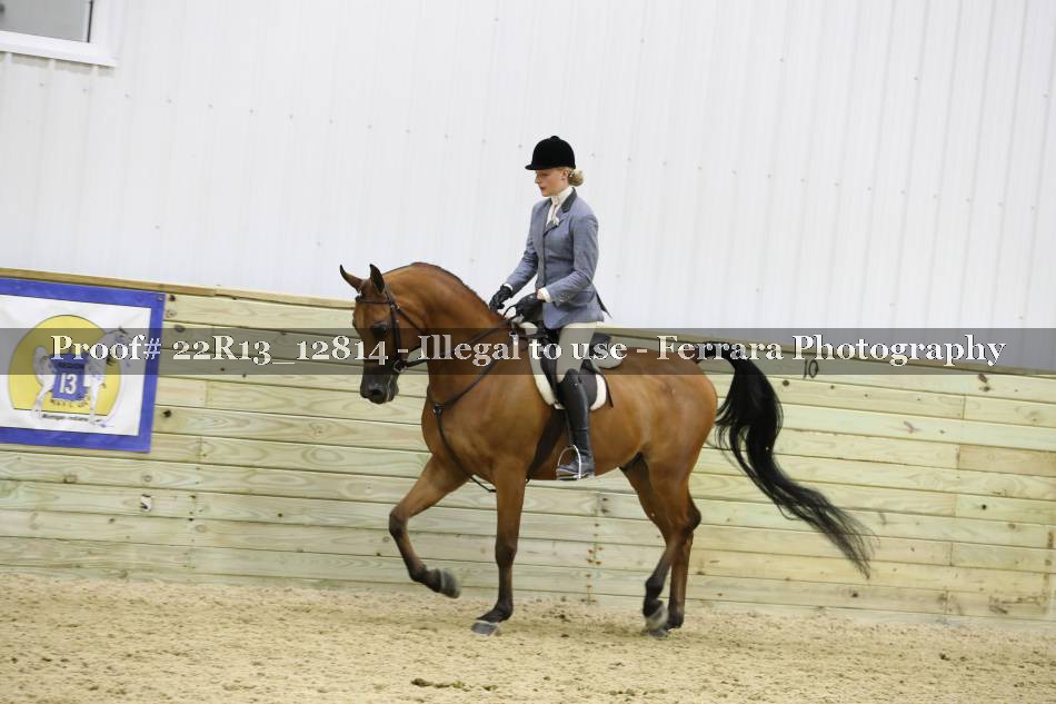 Proof 22R13_12814