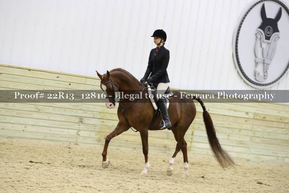 Proof 22R13_12816