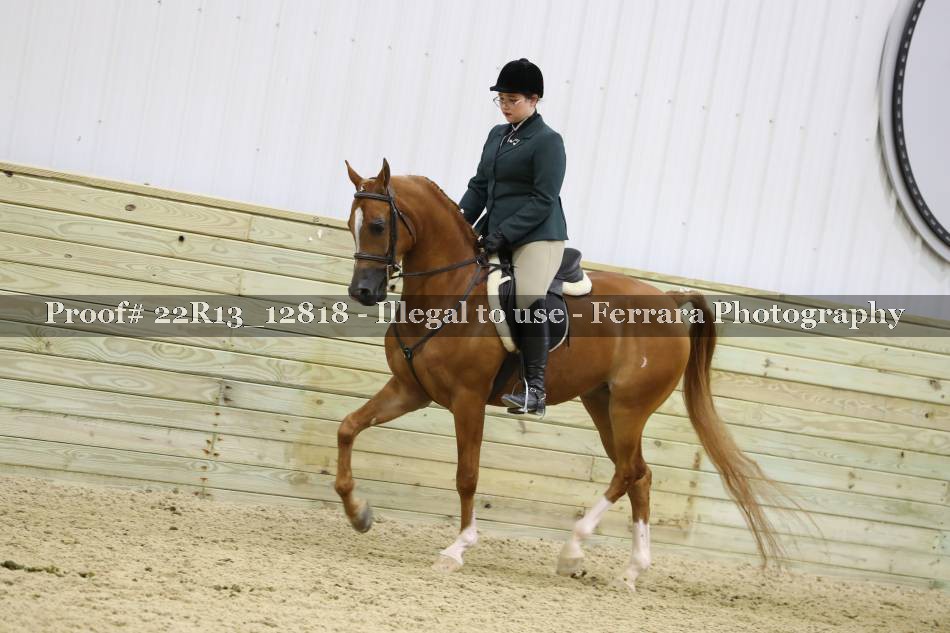 Proof 22R13_12818