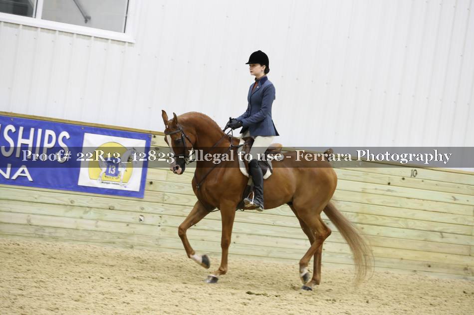 Proof 22R13_12823
