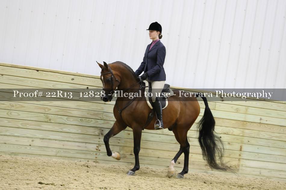 Proof 22R13_12828