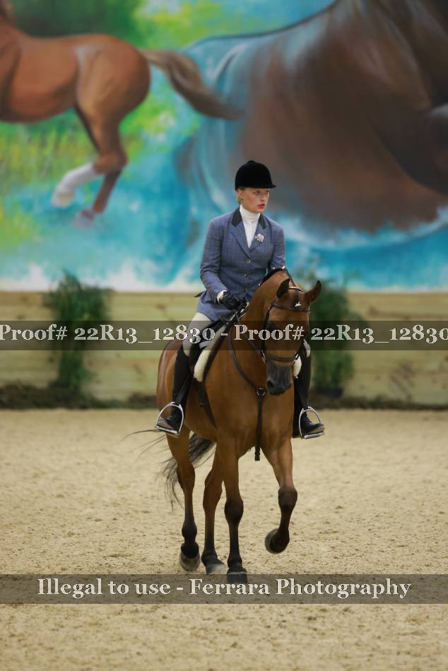 Proof 22R13_12830