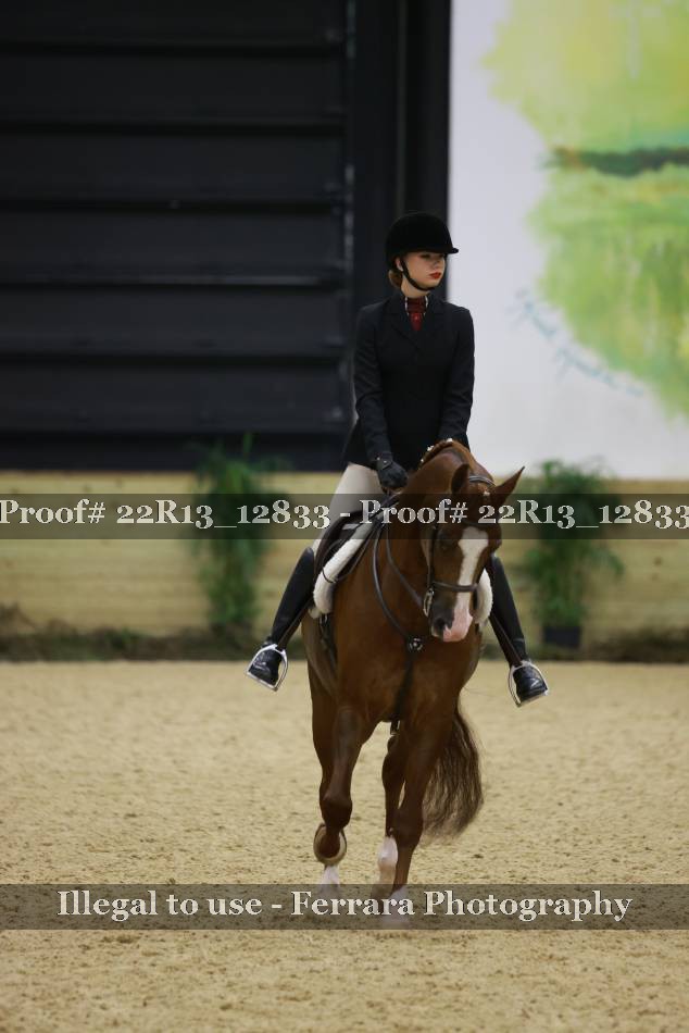 Proof 22R13_12833