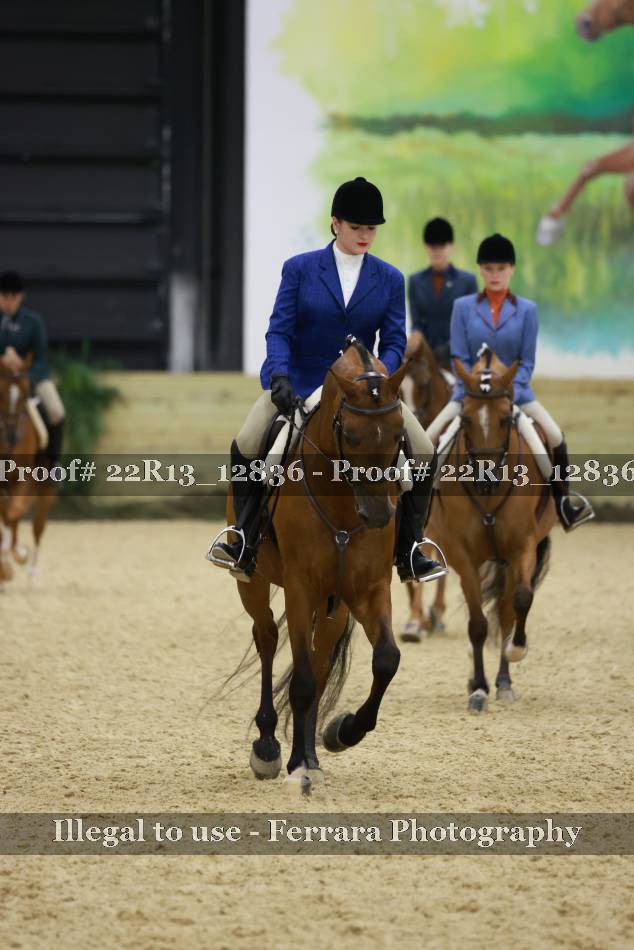 Proof 22R13_12836