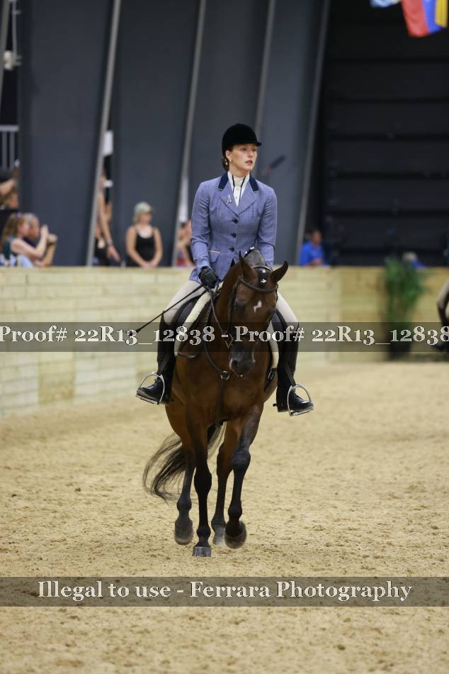 Proof 22R13_12838