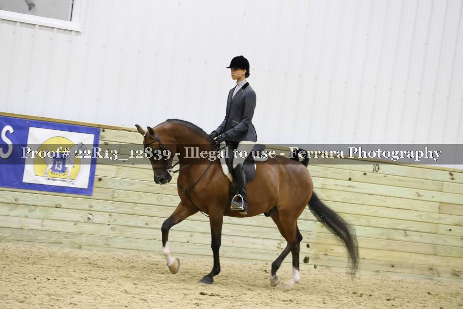 Proof 22R13_12839
