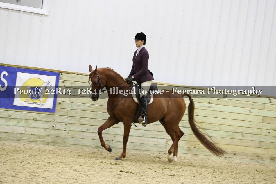 Proof 22R13_12841