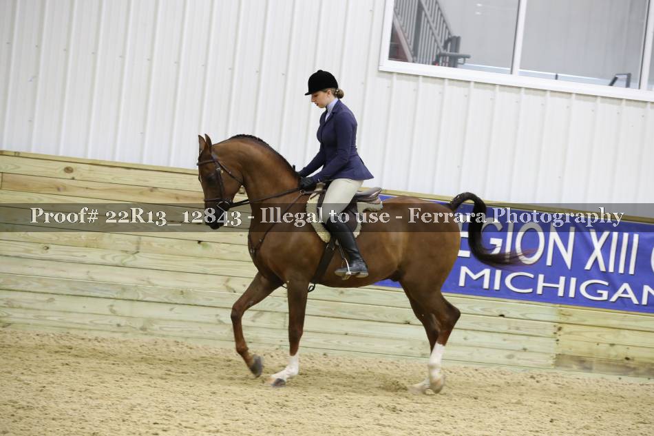 Proof 22R13_12843