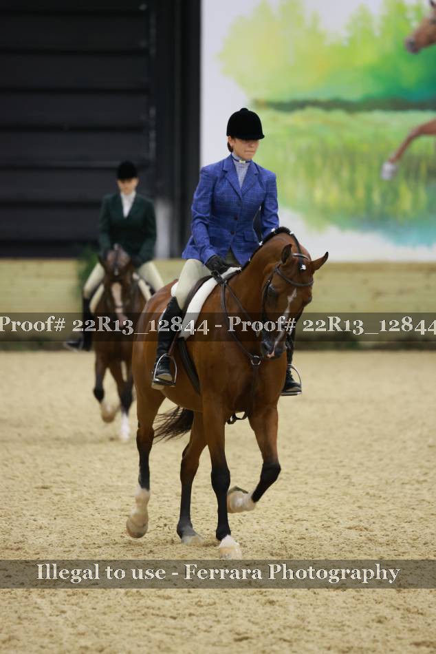 Proof 22R13_12844