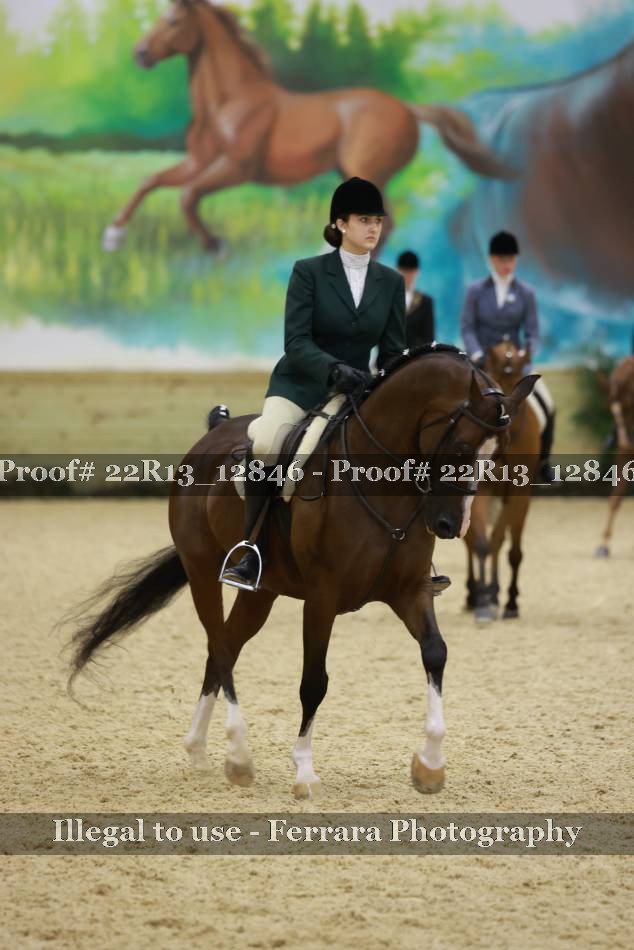 Proof 22R13_12846