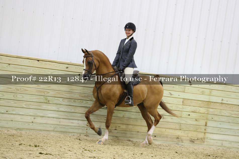 Proof 22R13_12847