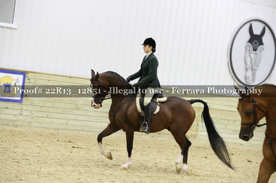 Proof 22R13_12851