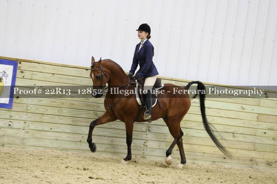 Proof 22R13_12852