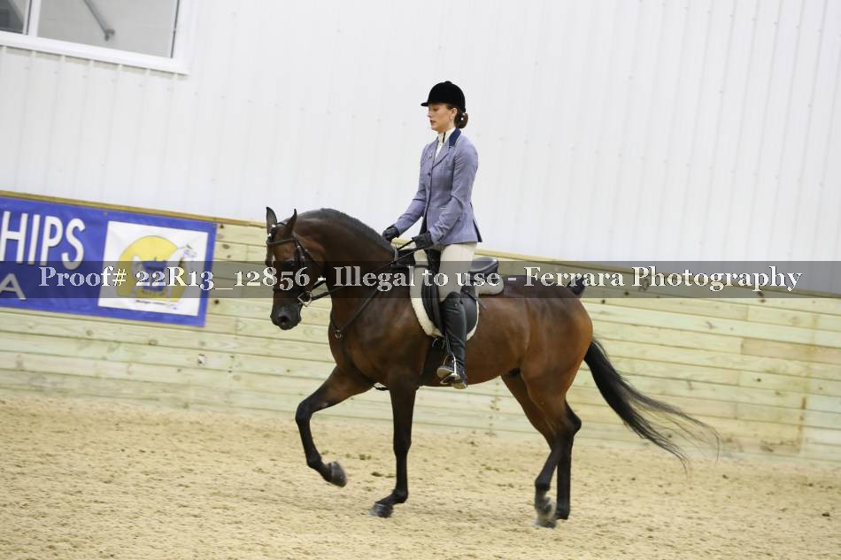Proof 22R13_12856