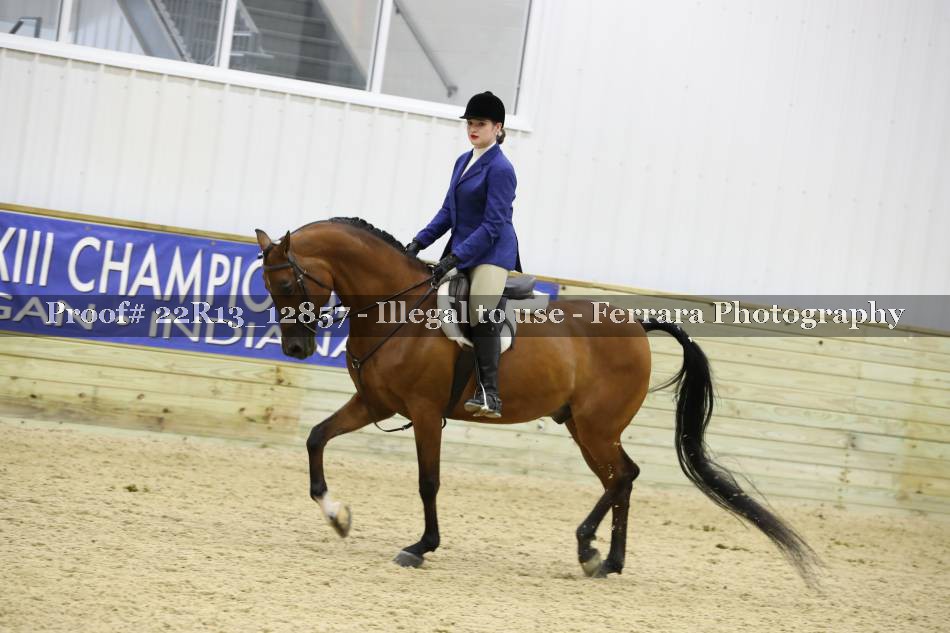 Proof 22R13_12857