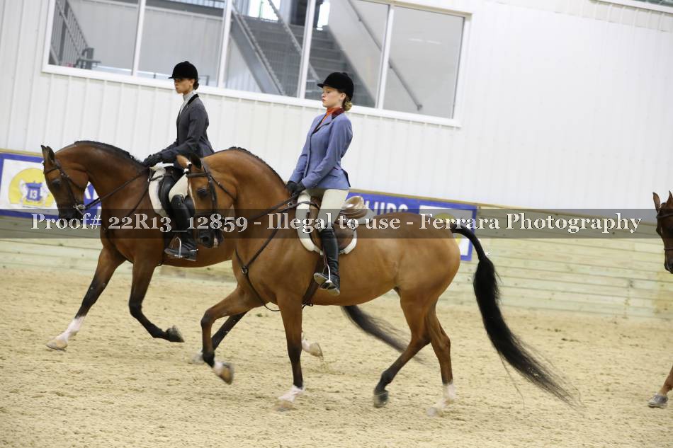 Proof 22R13_12859