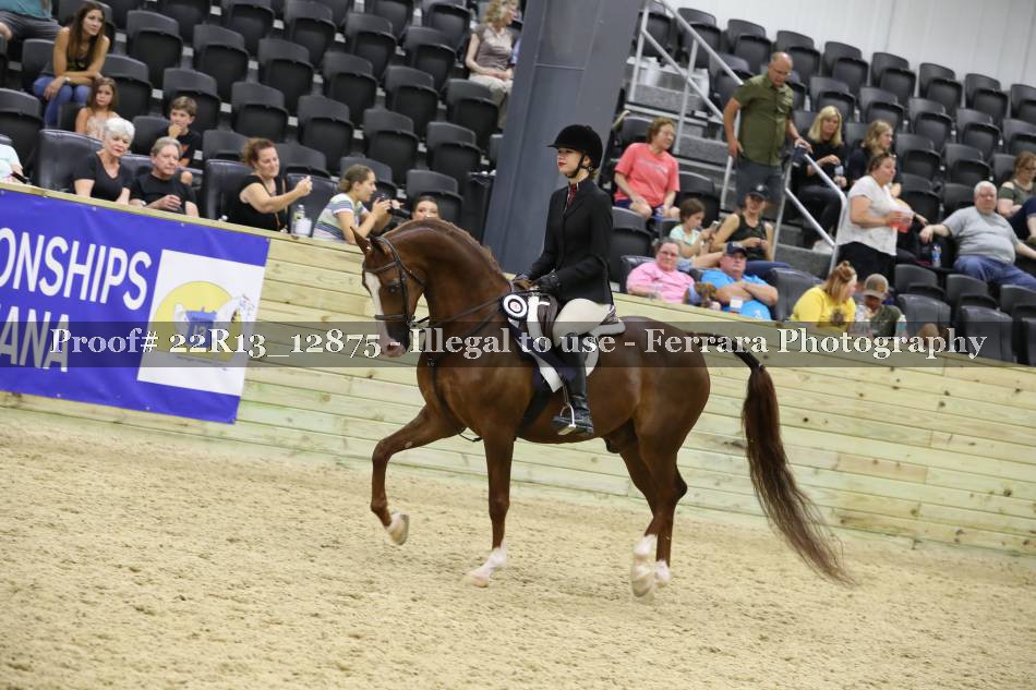 Proof 22R13_12875