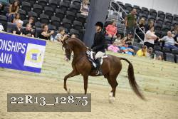 22R13_12875 proof