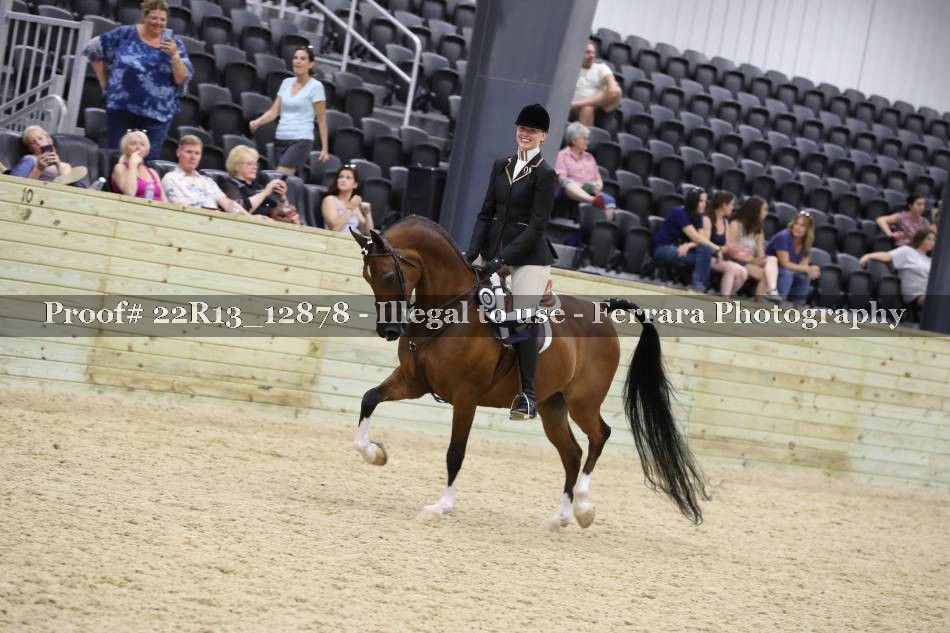 Proof 22R13_12878