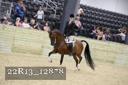 22R13_12878 proof