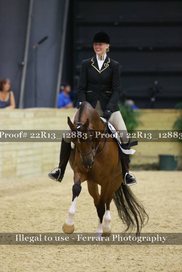 Proof 22R13_12883