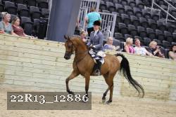 22R13_12886 proof