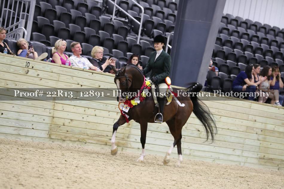 Proof 22R13_12891