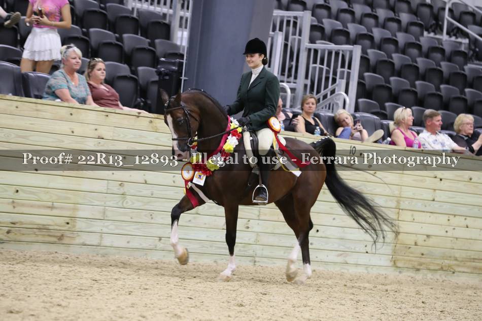 Proof 22R13_12893