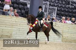 22R13_12893 proof
