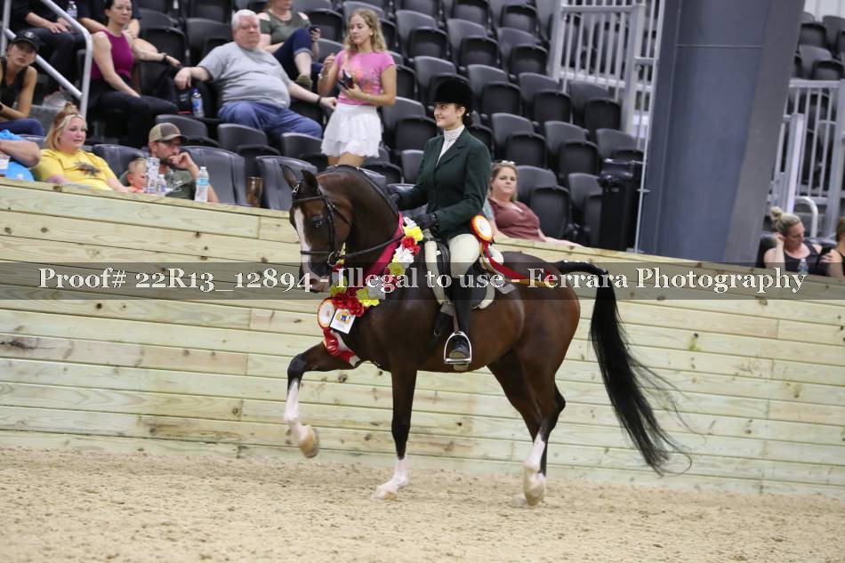 Proof 22R13_12894