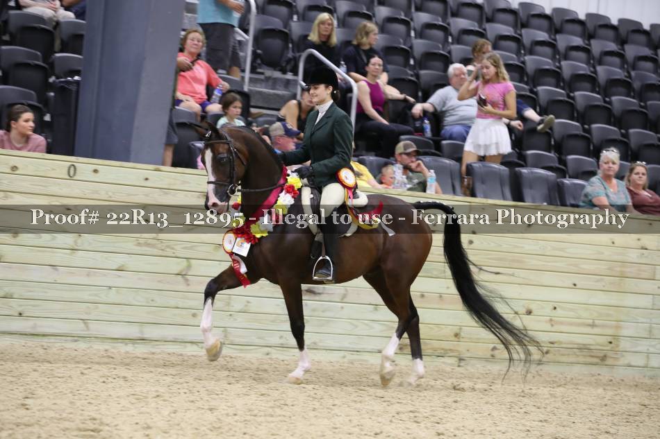 Proof 22R13_12895