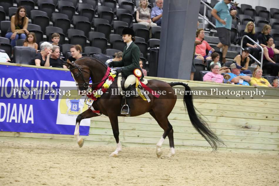 Proof 22R13_12896