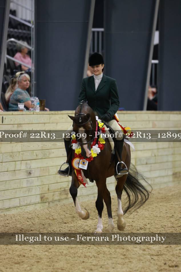 Proof 22R13_12899