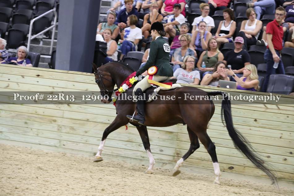 Proof 22R13_12900