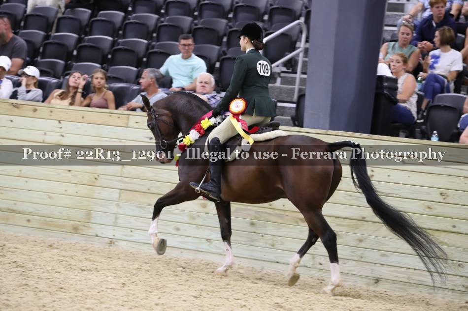 Proof 22R13_12901