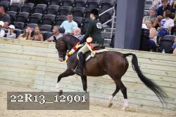 22R13_12901 proof