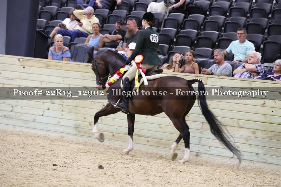 Proof 22R13_12902