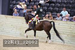 22R13_12902 proof