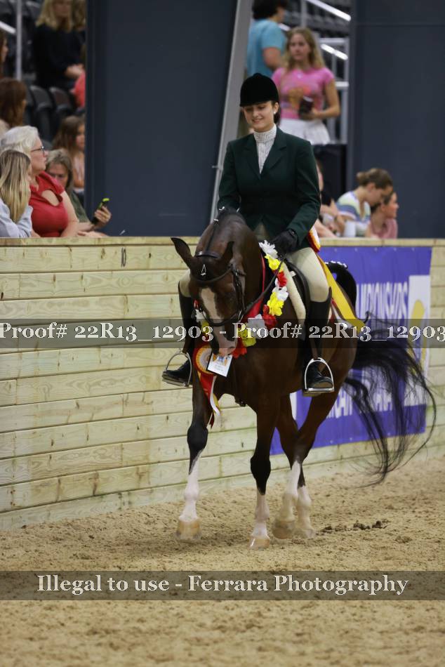Proof 22R13_12903