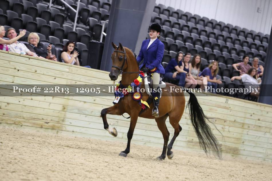 Proof 22R13_12905