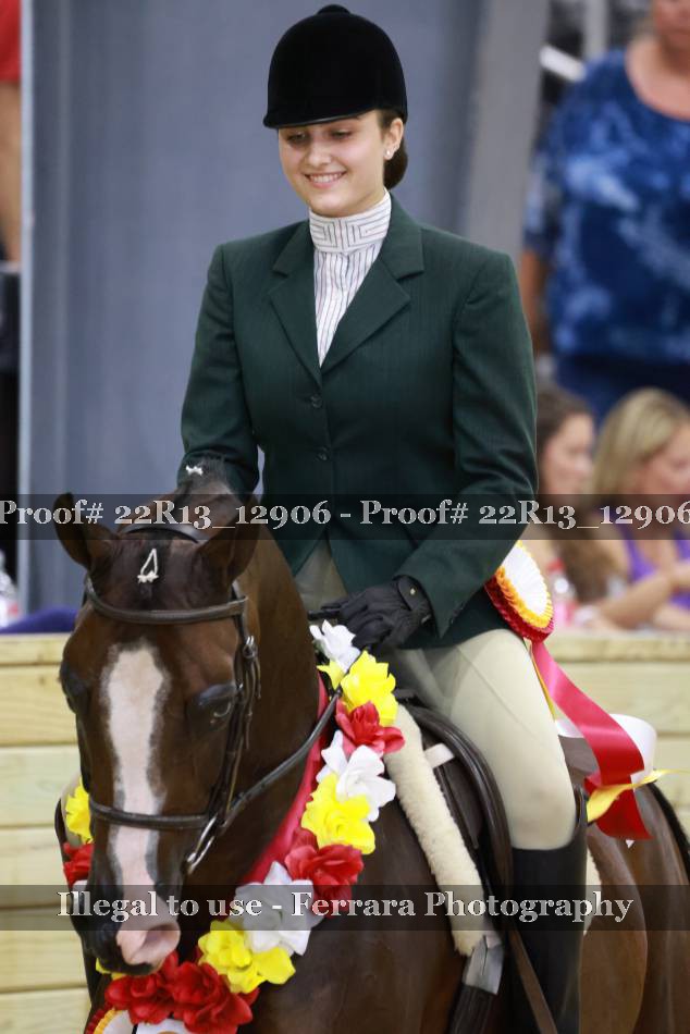 Proof 22R13_12906