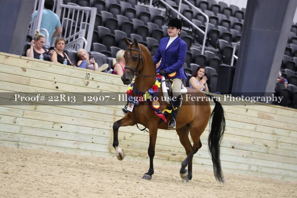 Proof 22R13_12907