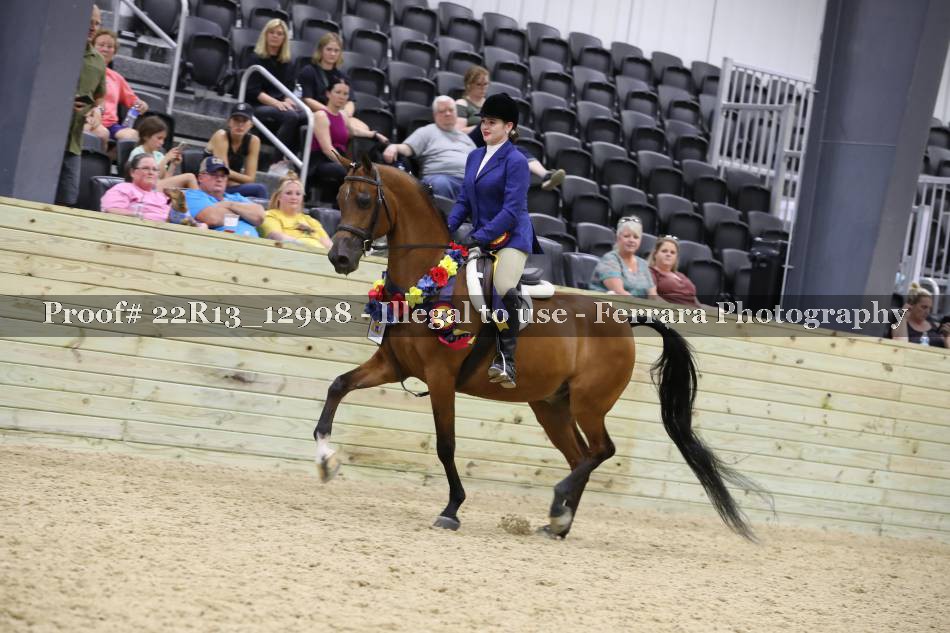 Proof 22R13_12908