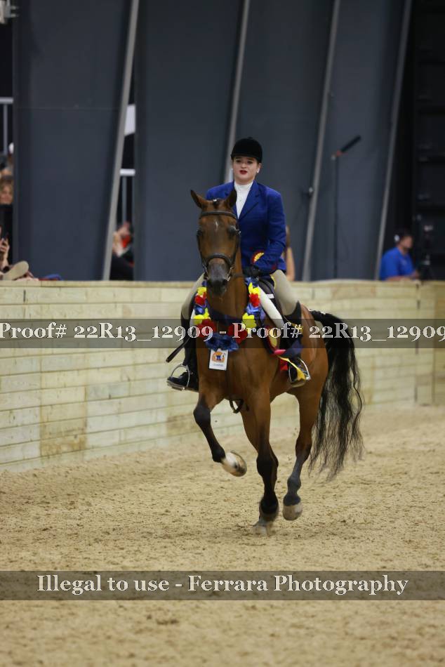Proof 22R13_12909