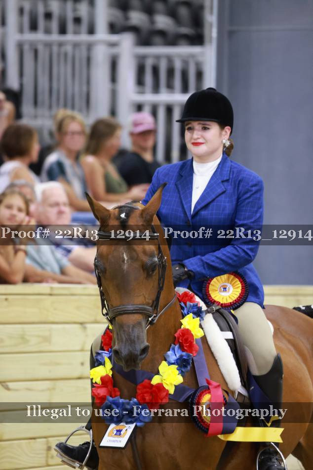 Proof 22R13_12914