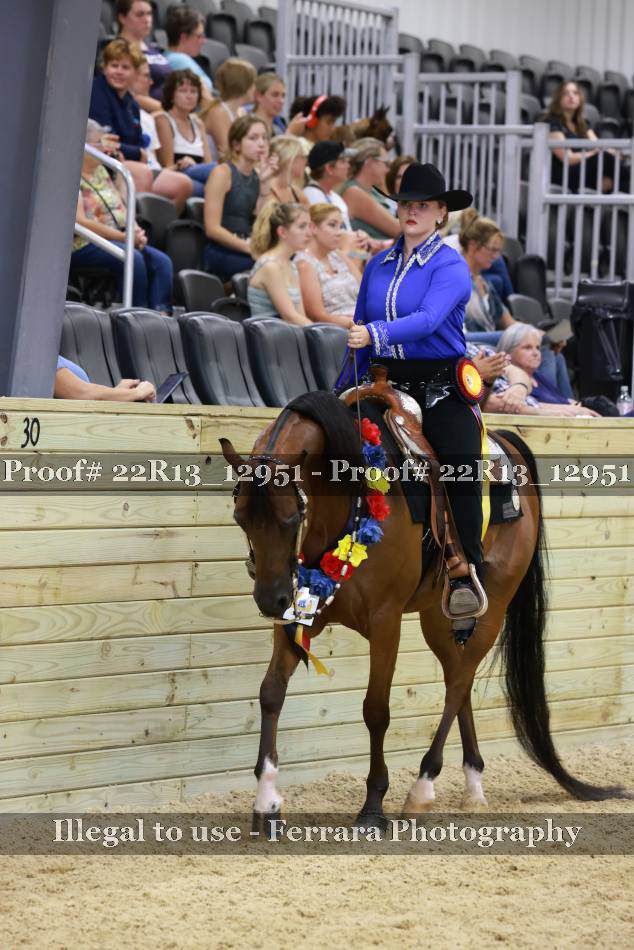 Proof 22R13_12951
