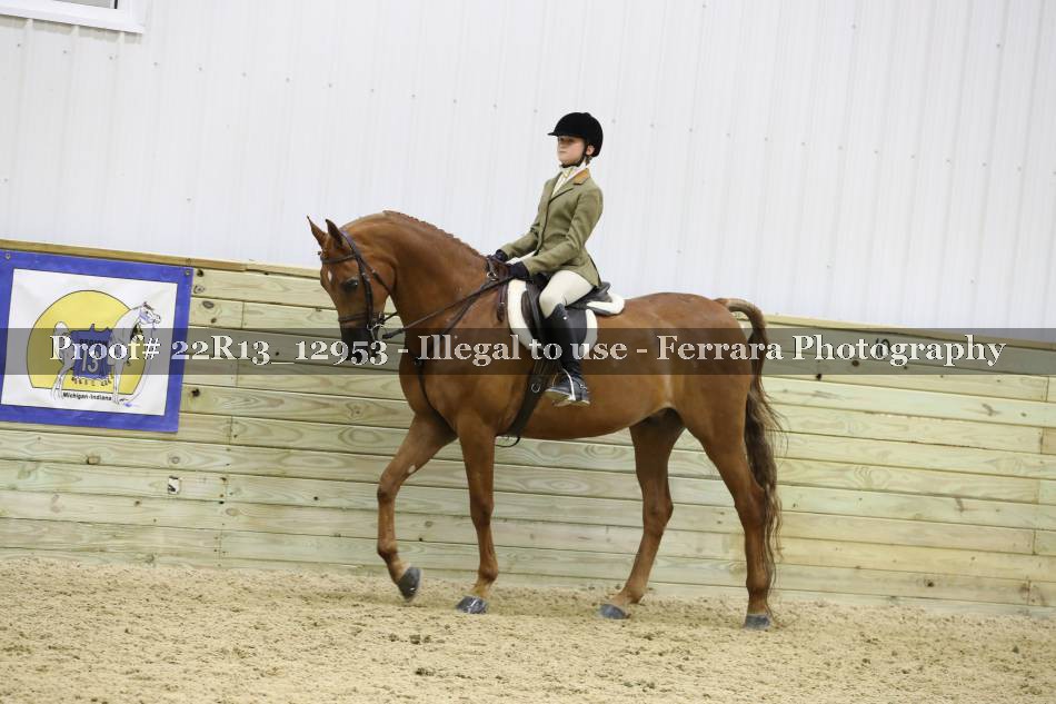 Proof 22R13_12953