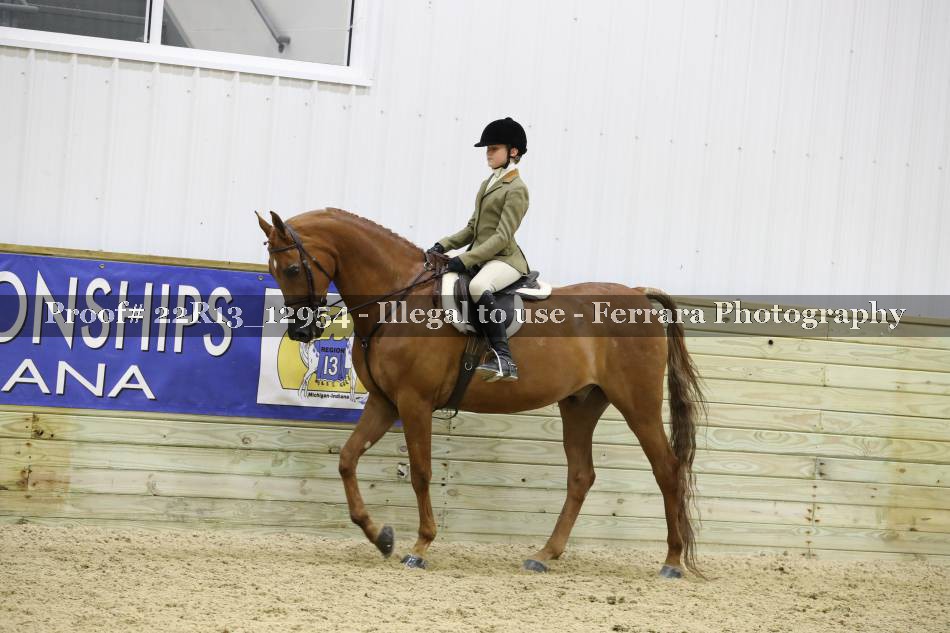 Proof 22R13_12954