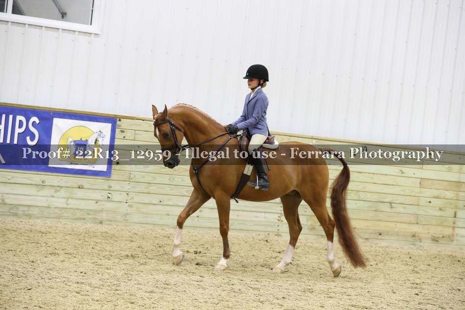 Proof 22R13_12959